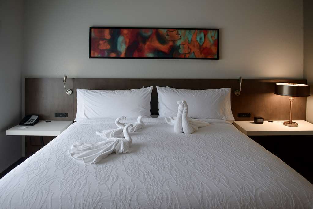 Hilton Garden Inn Louisville Mall Of St. Matthews Номер фото